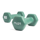 Pair Hex Dumbbell 1-10KG