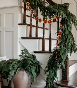 Deluxe Norfolk Pine Garland - 96