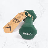 Pair Hex Dumbbell 1-10KG