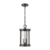 Outdoor Pendant Light Fixture - 8"Wide (2-light)